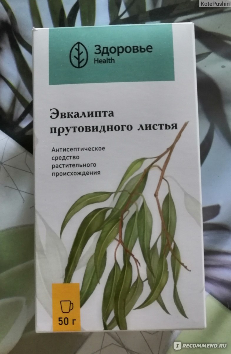 Трава Здоровье Эвкалипта прутовидного лист 50 гр пачка - «Качественный  эвкалипт - работает эффективно, помогает реактивно. Любимое средство.» |  отзывы