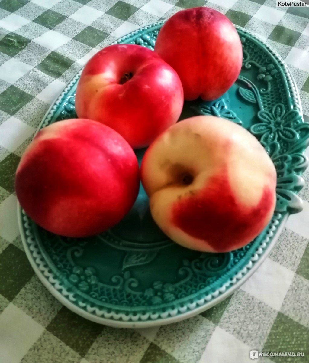 Фрукты Нектарин - «Нектарин - достойный конкурент персика. 🍑» | отзывы