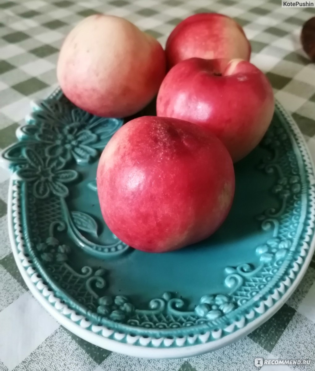 Фрукты Нектарин - «Нектарин - достойный конкурент персика. 🍑» | отзывы