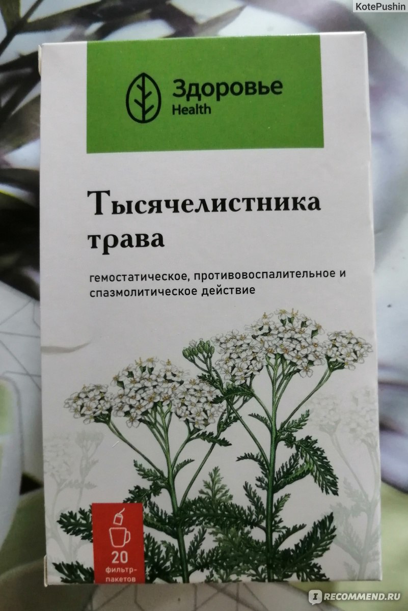 Лекарственные травы Здоровье Тысячелистника трава 1,5 гр 20 шт.  фильтр-пакеты - «Отличное природное средство. Тысячелистник - натуральный и  полезный.» | отзывы