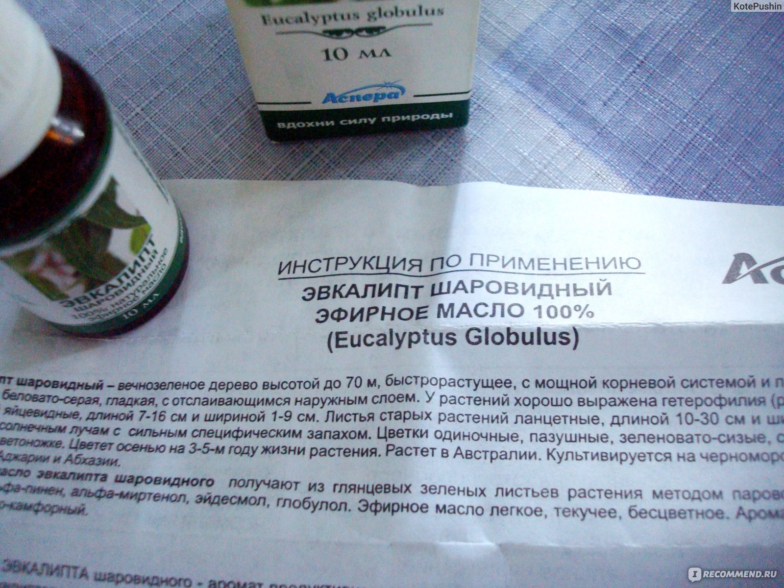 Эвкалипт настойка инструкция по применению. Вытяжка из серебристого эвкалипта. Вытяжка из серебристого эвкалипта Абхазия. Эфирные масла инструкция по применению. Эвкалипт инструкция по применению.