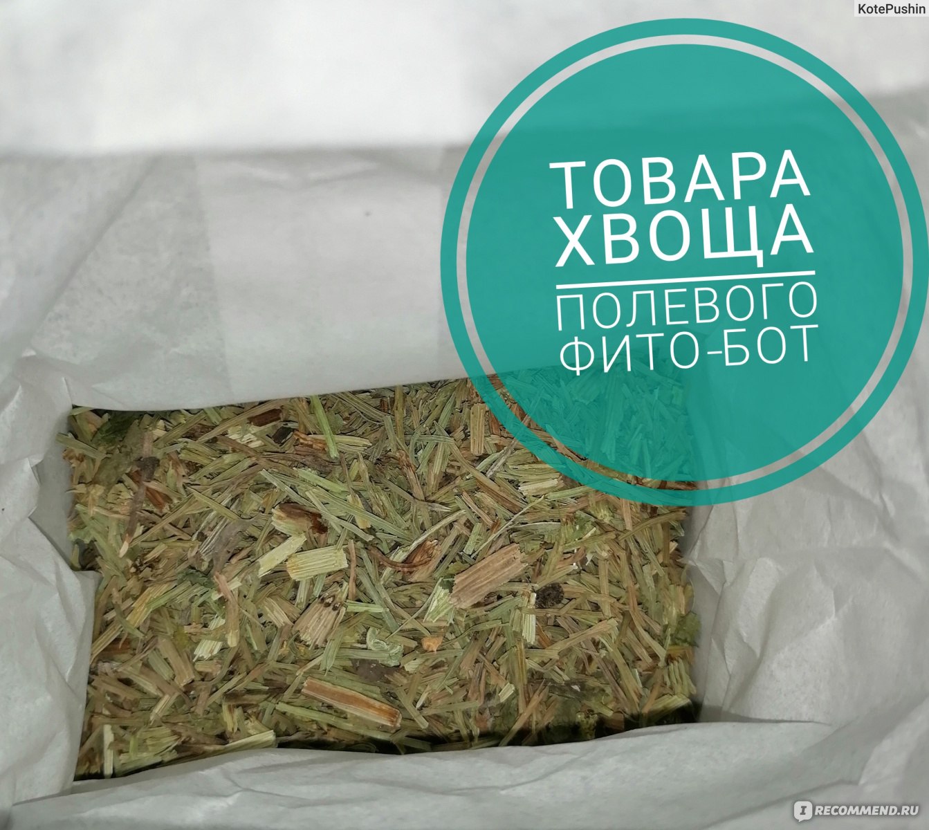 Трава Фито-Бот Хвоща полевого 50 гр. - «Многофункциональная травка.🌿😊» |  отзывы