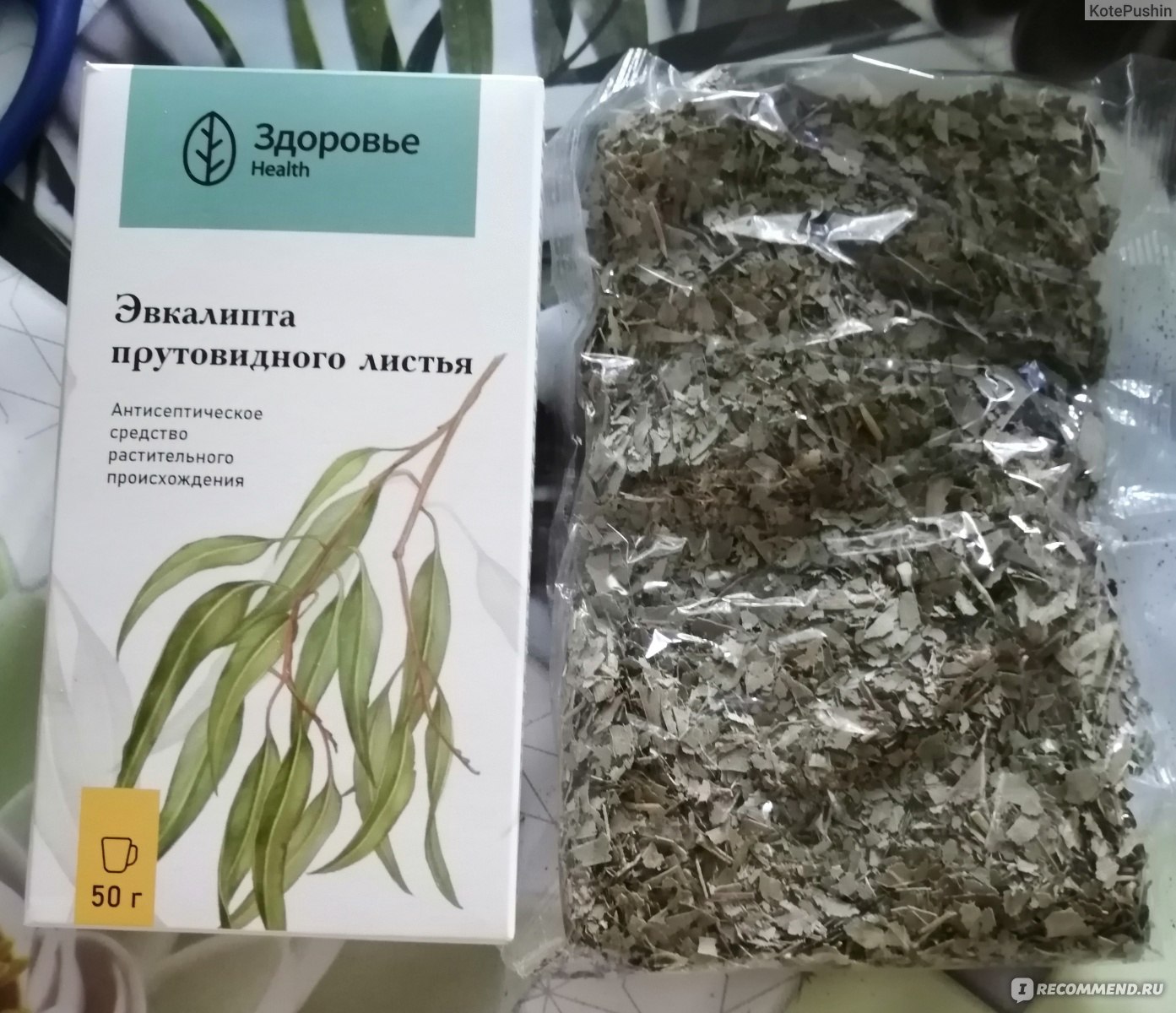 Трава Здоровье Эвкалипта прутовидного лист 50 гр пачка - «Качественный  эвкалипт - работает эффективно, помогает реактивно. Любимое средство.» |  отзывы