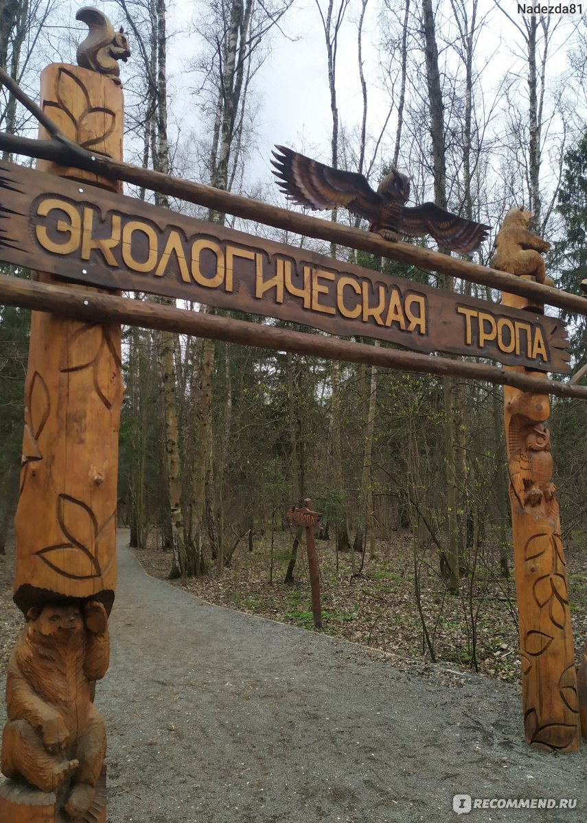 Экологическая тропа в Московском, Москва - «Экологическая тропа в  Московском. Маршрут пошагово с фото. Давайте пройдем по экологической тропе  вместе!) » | отзывы