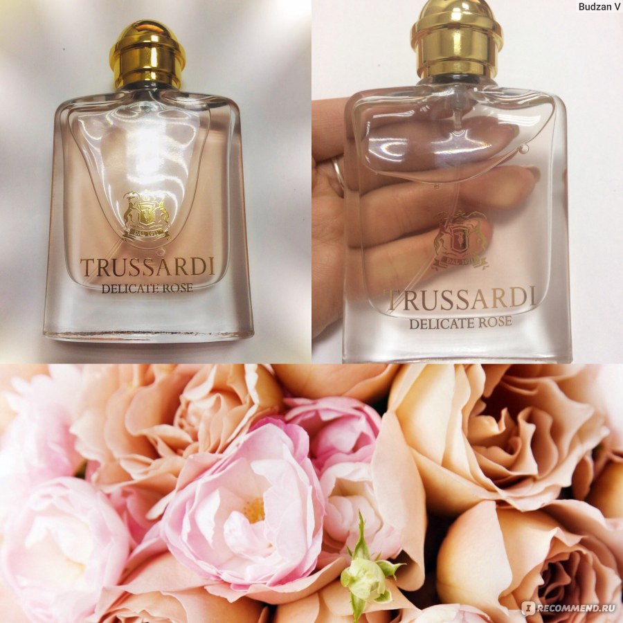 Trussardi delicate rose отзывы