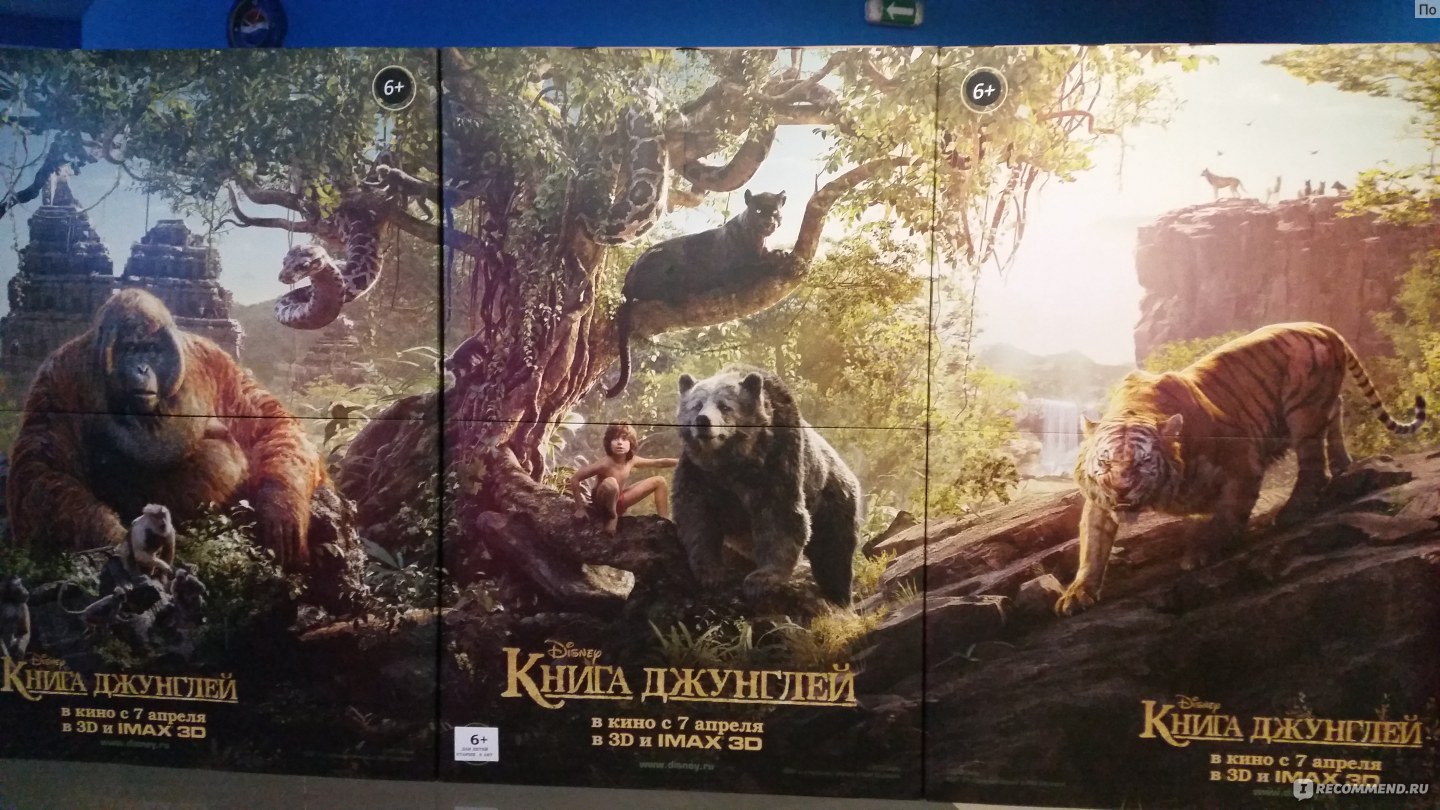 Книга джунглей / The Jungle Book (2016, фильм) - «Потрясающий фильм! Очень  достойная работа (комп.графика). 2ое взрослых и ребенок (12 лет) в  восторге!!! для зрителей старше 12 лет! » | отзывы