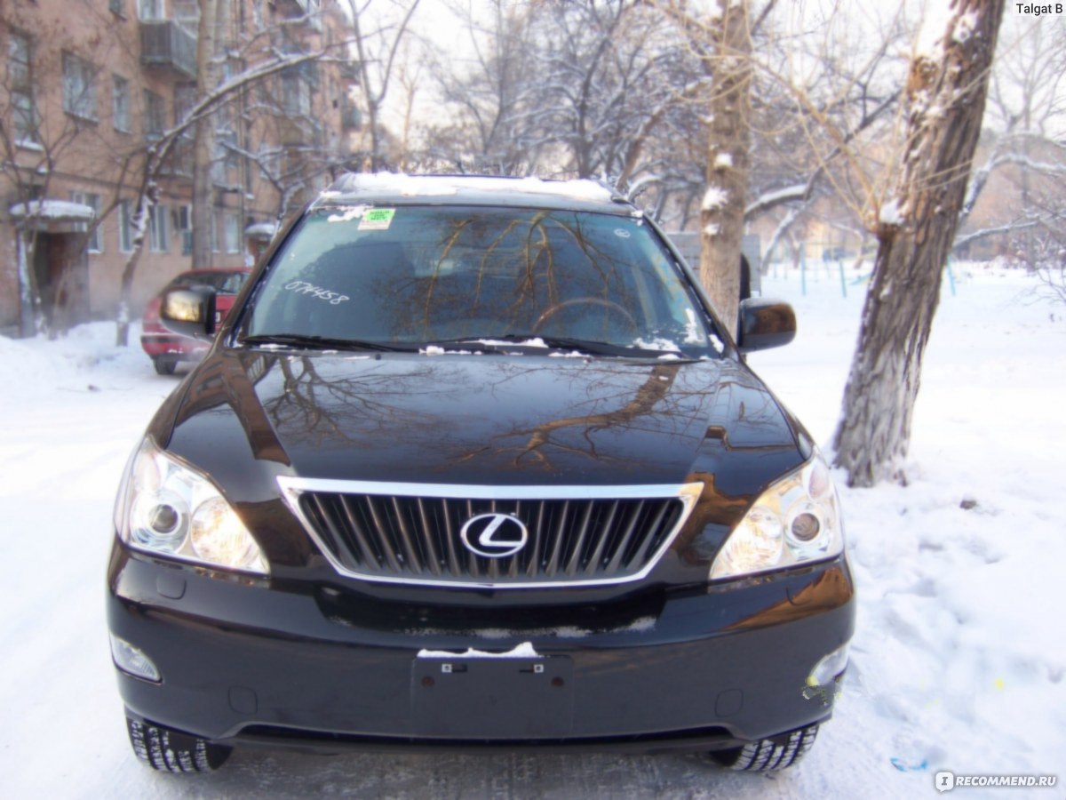 Lexus RX - 2008 - «Lexus RX 350 Недорогой в обслуживании, очень надежный  авто! » | отзывы