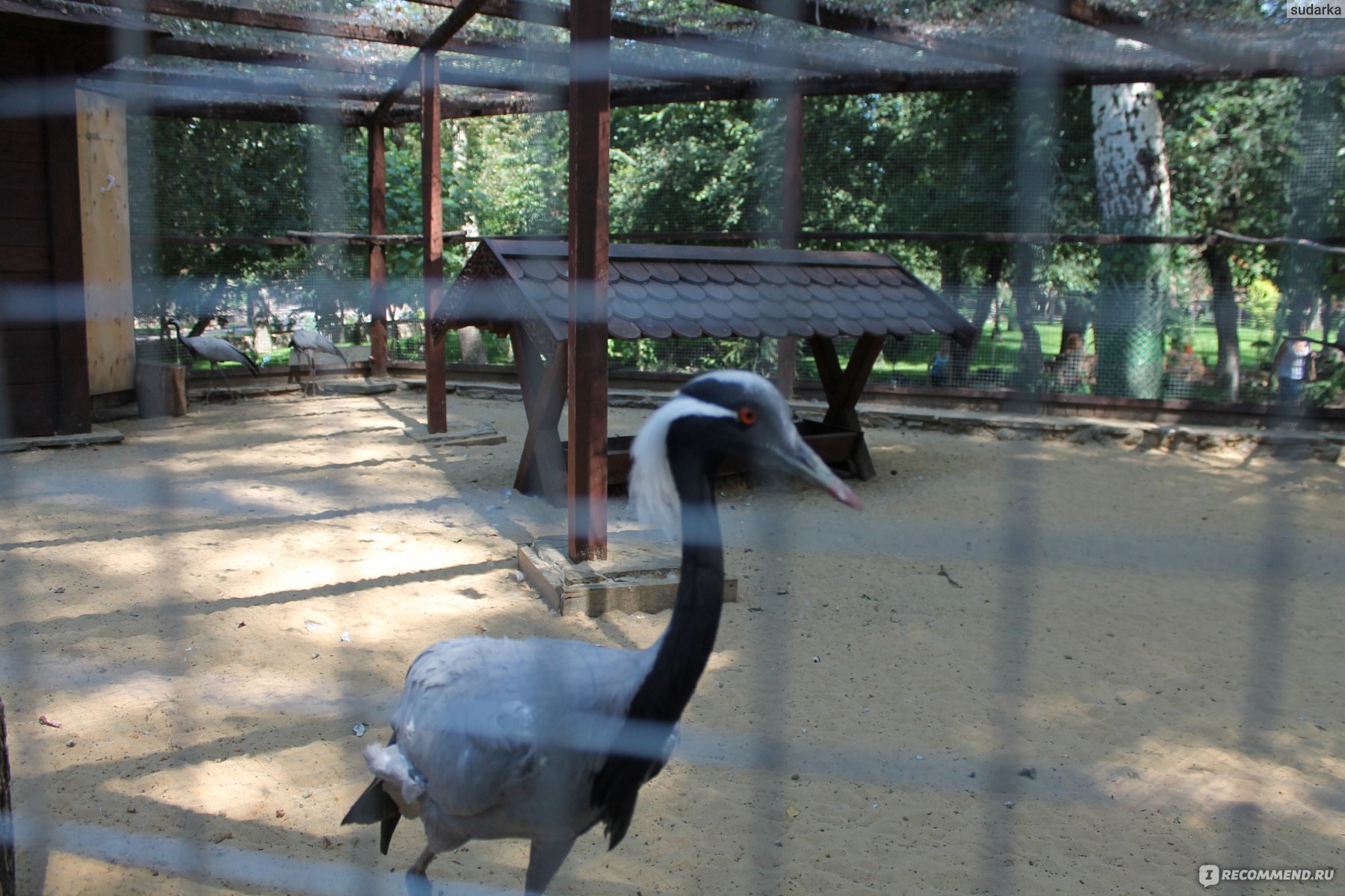 Парк Лога Каменск-Шахтинский зоопарк
