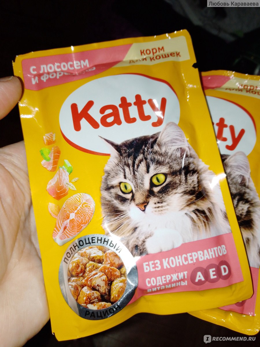 Корм для кошек Katty с лососем и форелью - «Katty любит Ёжик» | отзывы