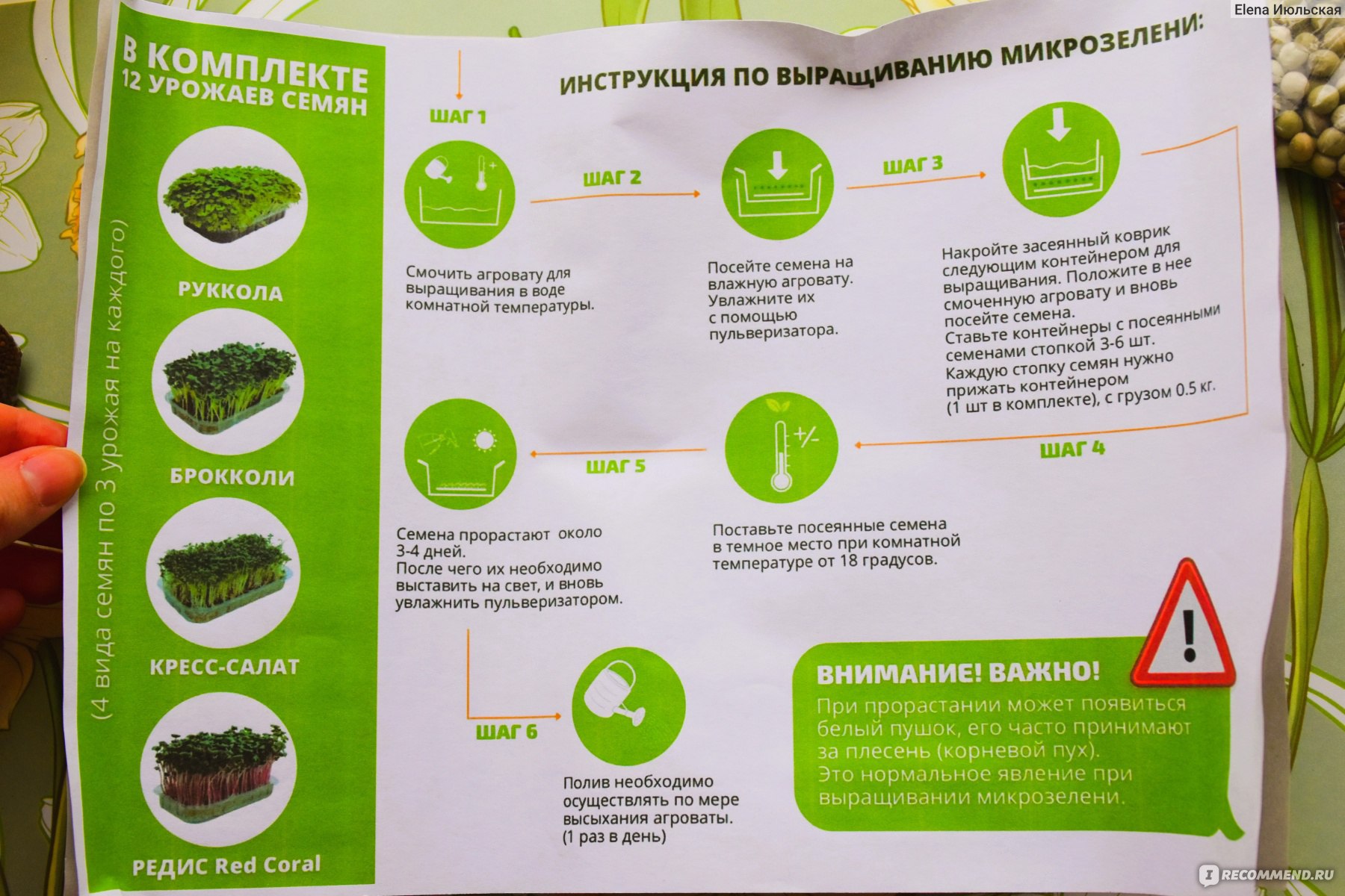 Набор для выращивания микрозелени Greens Shop 12 урожаев - «🌱Зеленый  огород в любое время года с максимальной пользой для здоровья. Очень  вкусная микрозелень, которая не требует особого ухода и навыков🌱» | отзывы