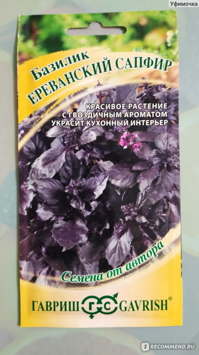 Семена Гавриш Базилик Ереванский сапфир - «Быстрая всхожесть. Ароматная и  вкусная зелень» | отзывы