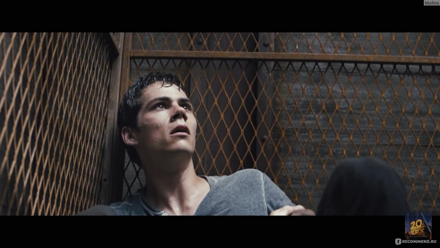 Бегущий в лабиринте / The Maze Runner (2014, фильм) - «♡♡♡ Все бегают, и я  побегу! Или как я название сиего творения с подругой вспоминала: парни,  которые в квадрате живут!♡♡♡ » | отзывы