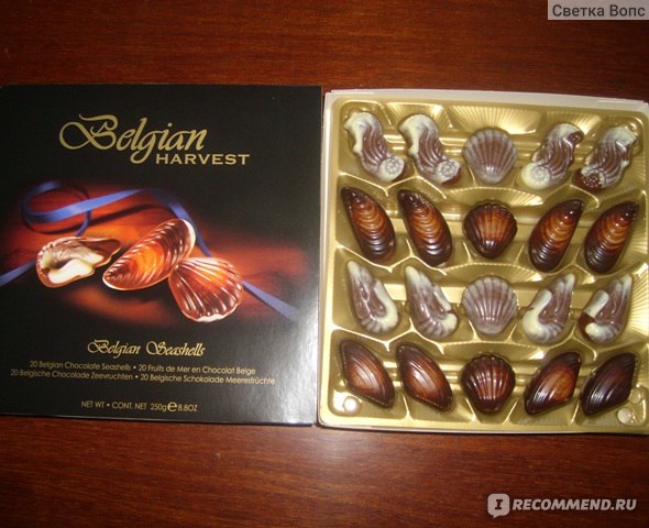 Belgian Chocolate Seashells 250 Рі