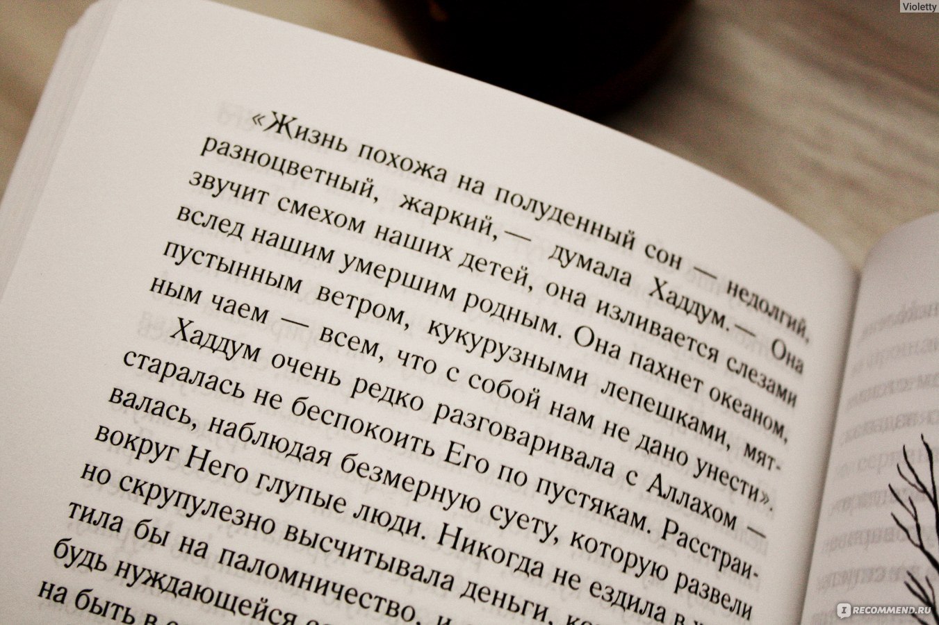 С неба упали три яблока. Наринэ Абгарян - «Эта книга как чужой дом -  побывать в гостях приятно, но с нетерпением ждешь возвращения домой (+фото,  информация об издании)» | отзывы