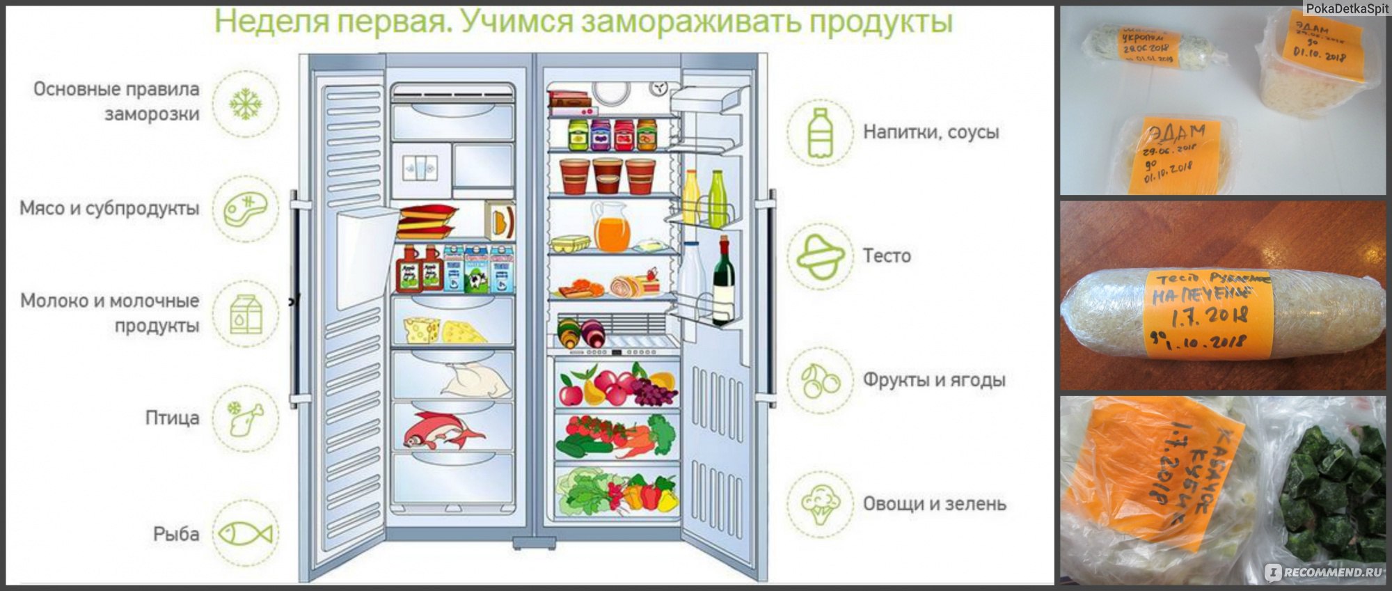 Сколько хранится сырая курица в холодильнике. Холодильник с продуктами. Хранение продуктов в морозильной камере. Хранение продуктов в морозилке. Хранение продуктов в холодильнике.