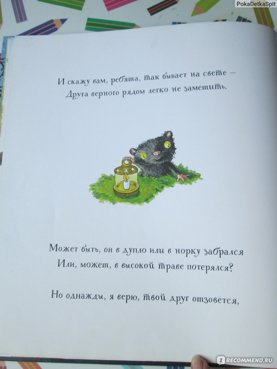 Давай дружить! Рейчел Брайт - «Давай дружить - или давай поженимся?! Сказка  про дружбу, которую хотела в нашу домашнюю библиотеку, а теперь рада, что  не купила» | отзывы