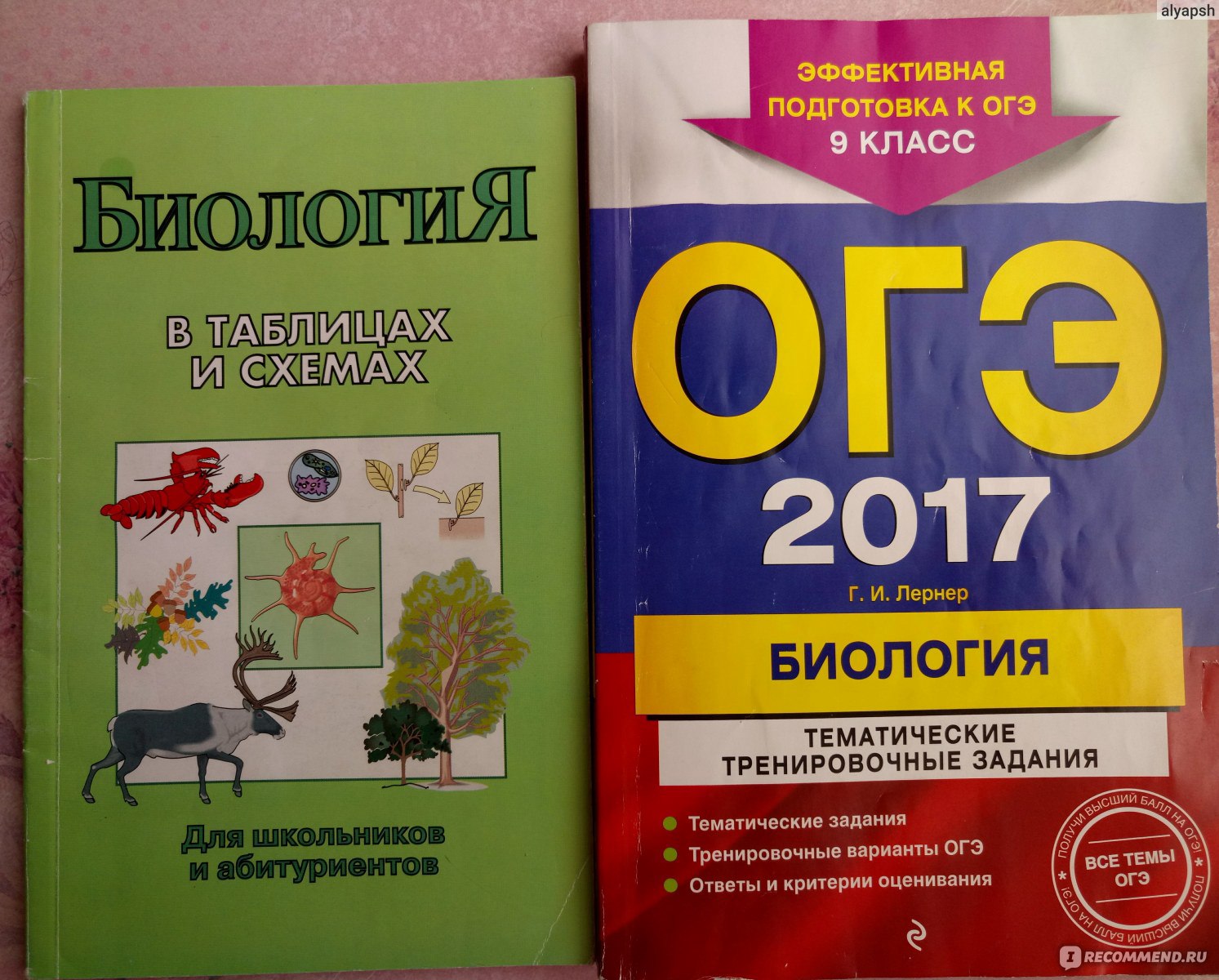 Основной Государственный Экзамен (ОГЭ), Россия - «ОГЭ... Насколько все  плохо? Что скрывается за этими тремя страшными буквами? Обо всем подробно  расскажет выпускница 2017 года!» | отзывы