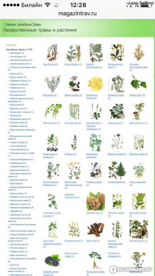 Полные названия растений. Лекарственные растения. Лекарственные травы с названиями. Целебные травы названия. Лечебные растения список.