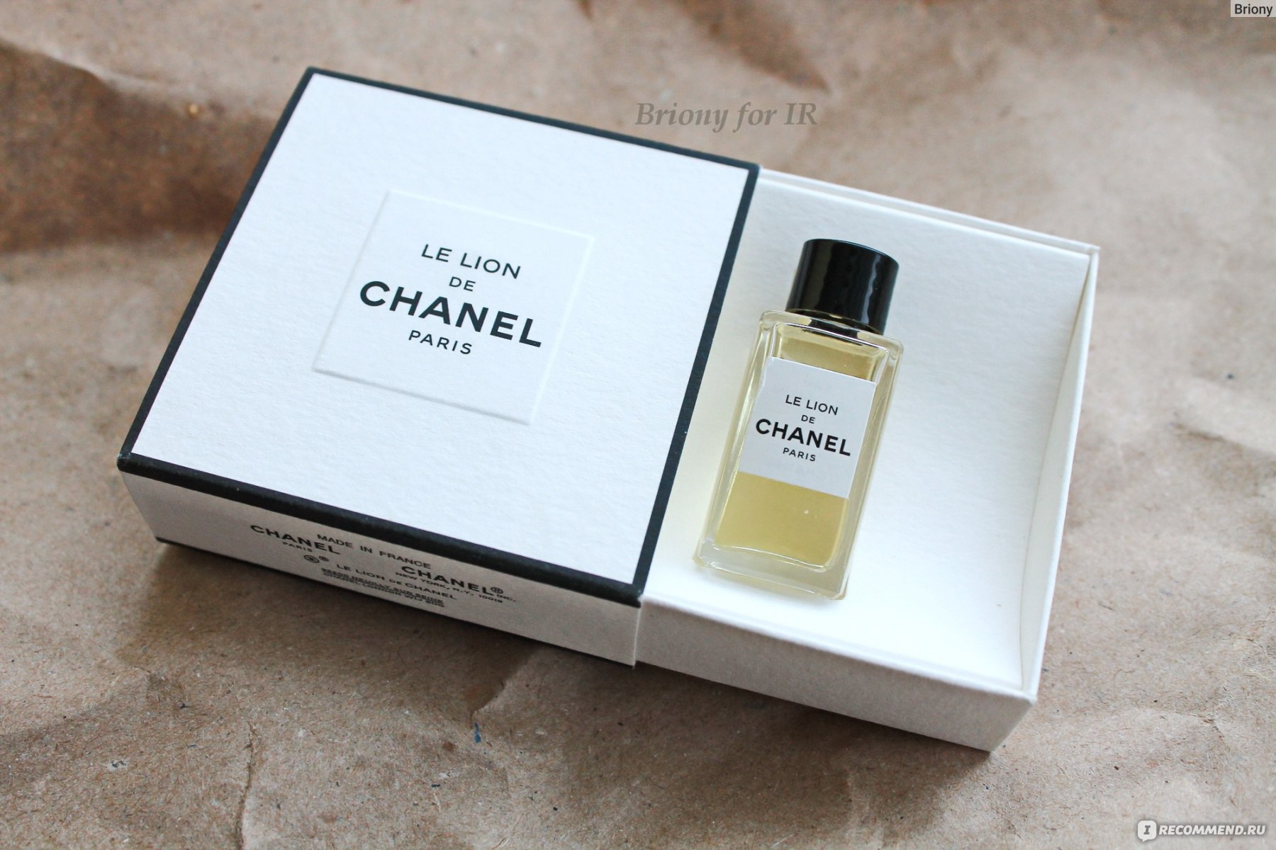 Chanel le lion. Шанель Ле Лион. Chanel le Lion de Chanel. Бутиковая линейка Шанель.