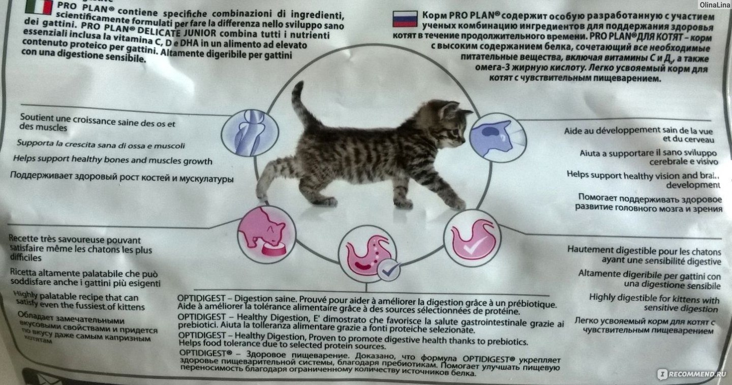 Можно ли котятам воду. Рацион питания котенка. Витамины для котят. Корм для стерилизованных кошек. Жидкое питание для котят.