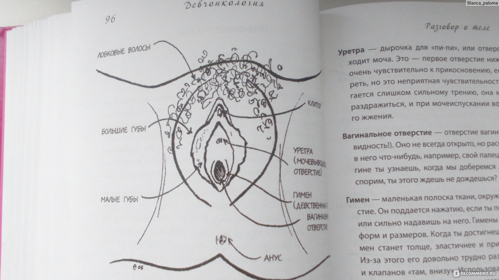 дот хатчисон книги фото 48