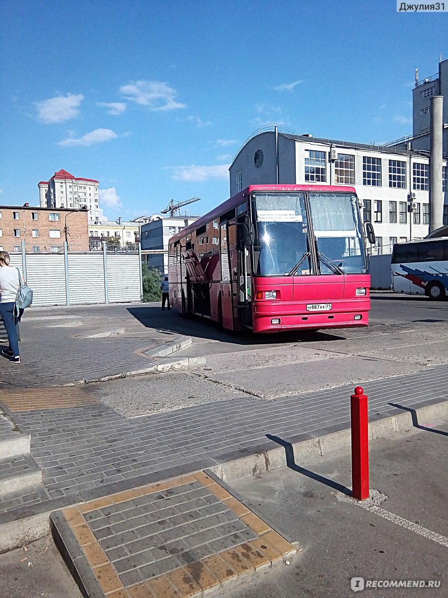 Автобус Белгород - Харьков - «Автобусом из Белгорода в Харьков? Может лучше  сразу от ЖД вокзала пешком по шпалам...» | отзывы