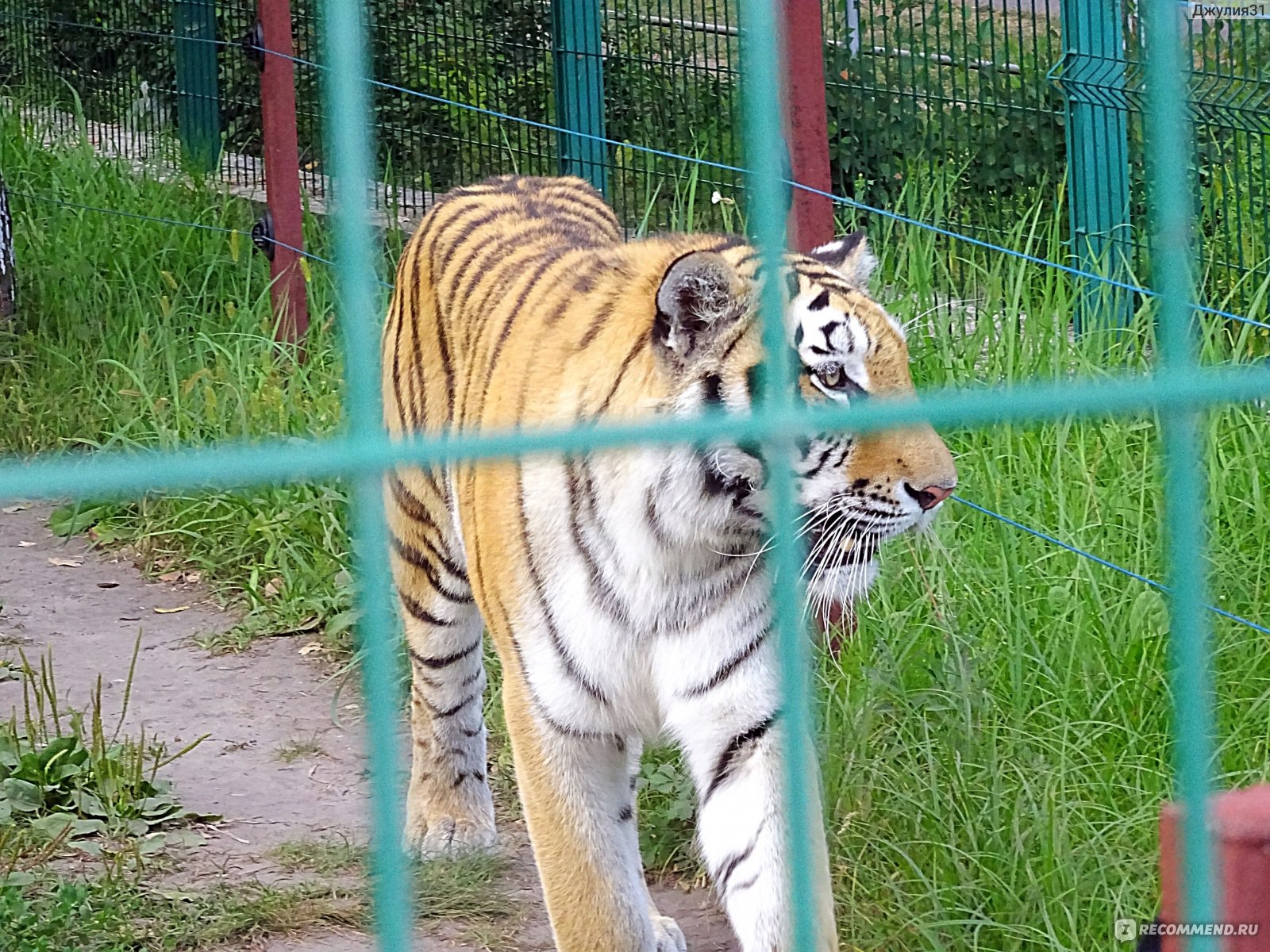 зоопарк в белгороде