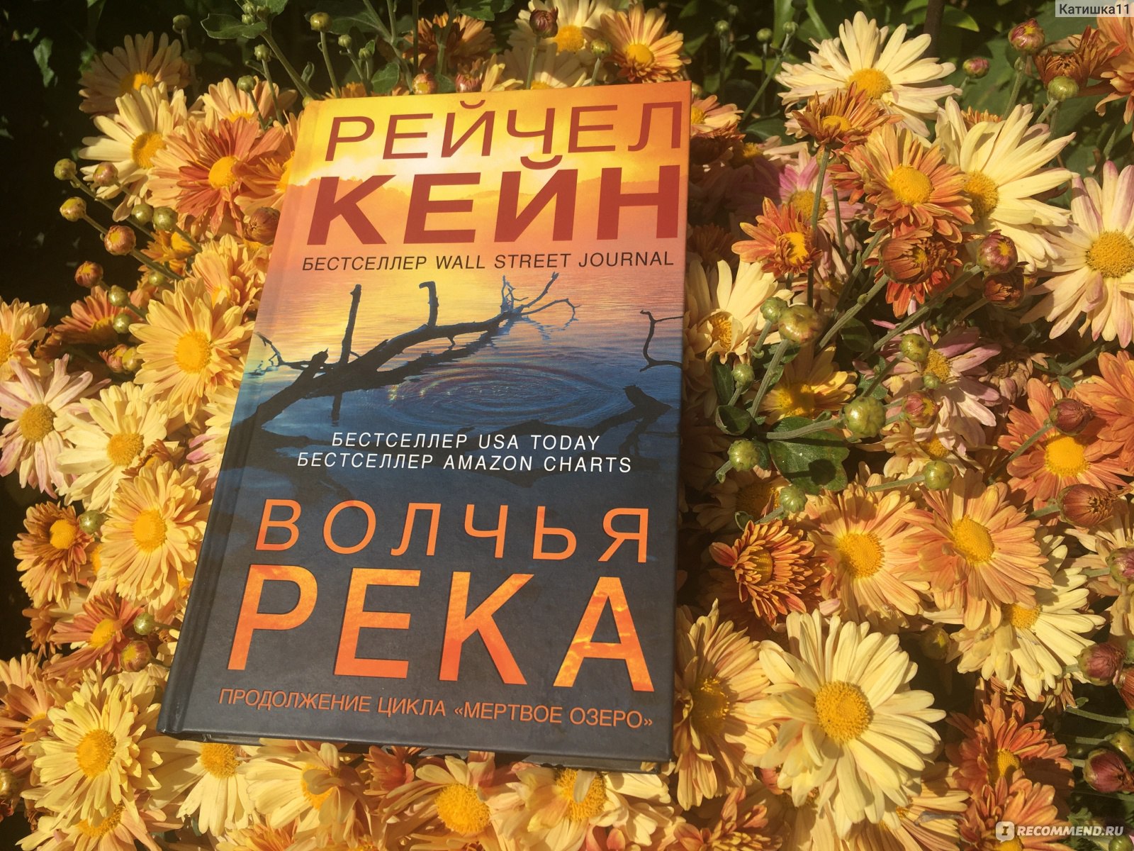 Рейчел кейн. Волчья река» Рэйчел Кейн. Волчья река Рейчел Кейн книга. Волчья река ( Кейн Рейчел ). Рейчел Кейн фото.