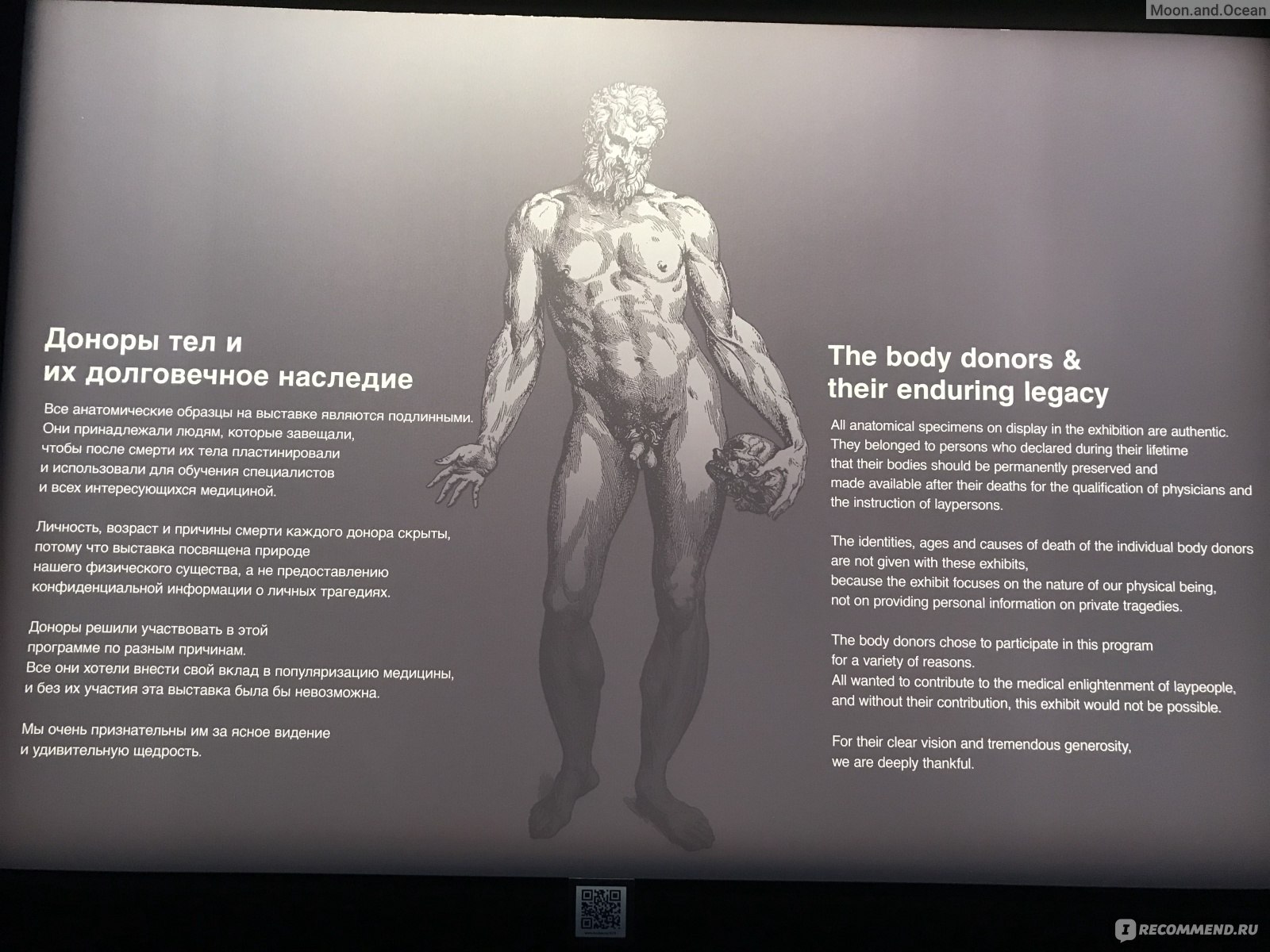 Body Worlds, Мир тела, Москва фото