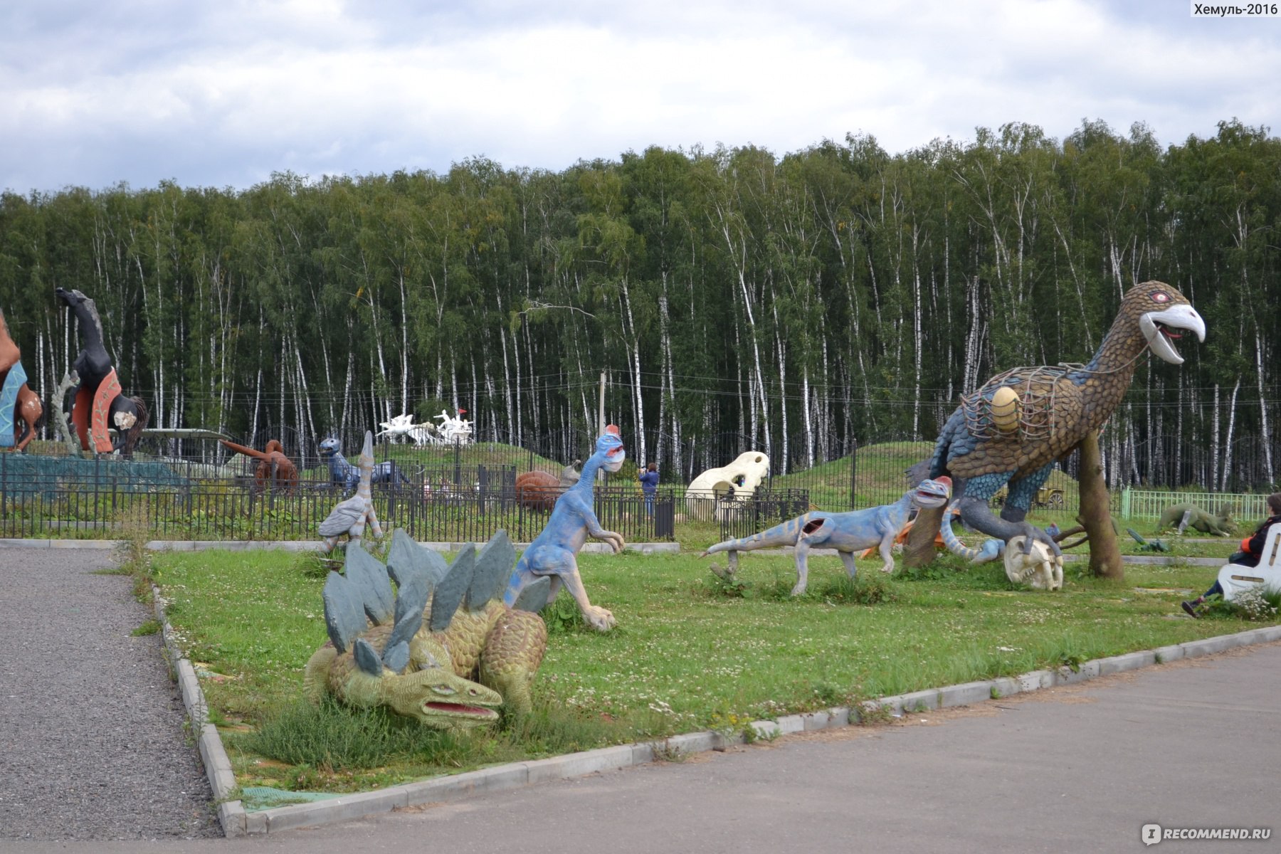 Национальный конный парк "Русь", Московская область фото