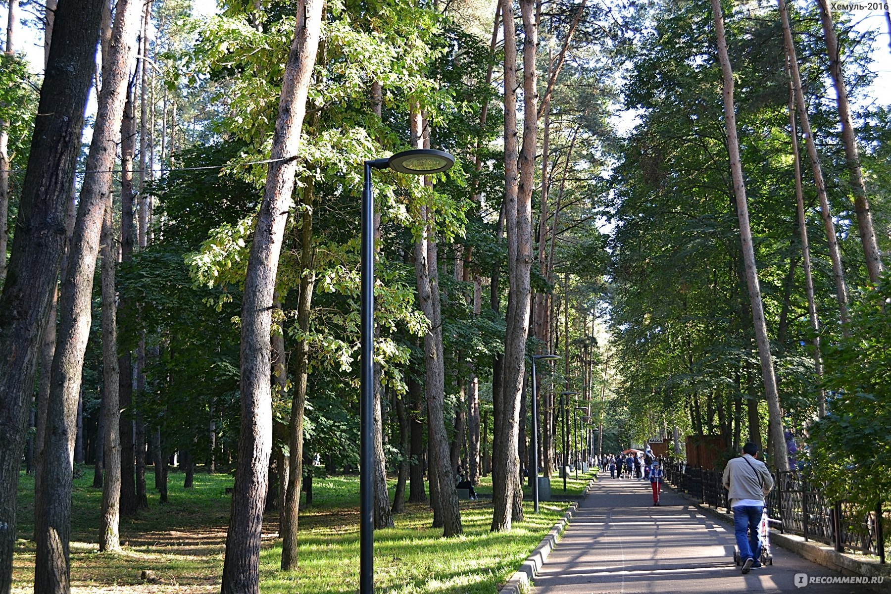 Парк елочки Наро Фоминск