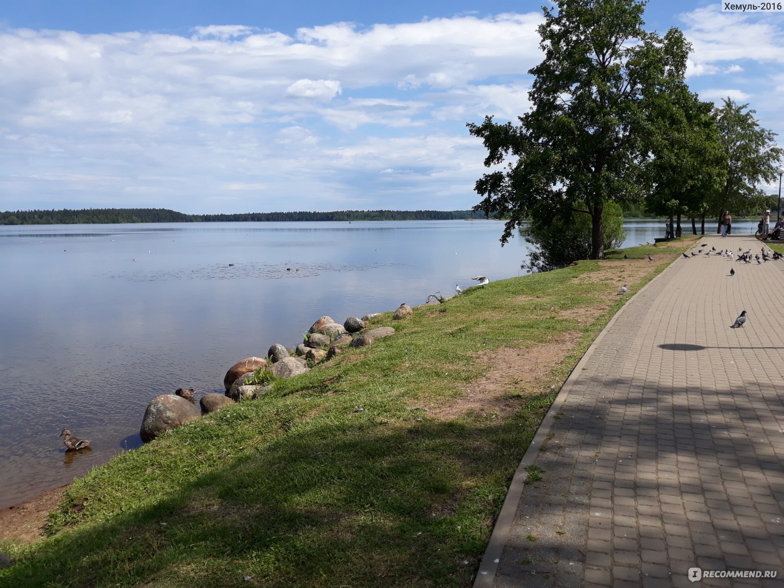 Россия. Новгородская область. Валдай - «Небольшой старинный городок на  трассе Москва-Петербург. Почему нужно быть аккуратным при поездке по городу  на машине?» | отзывы