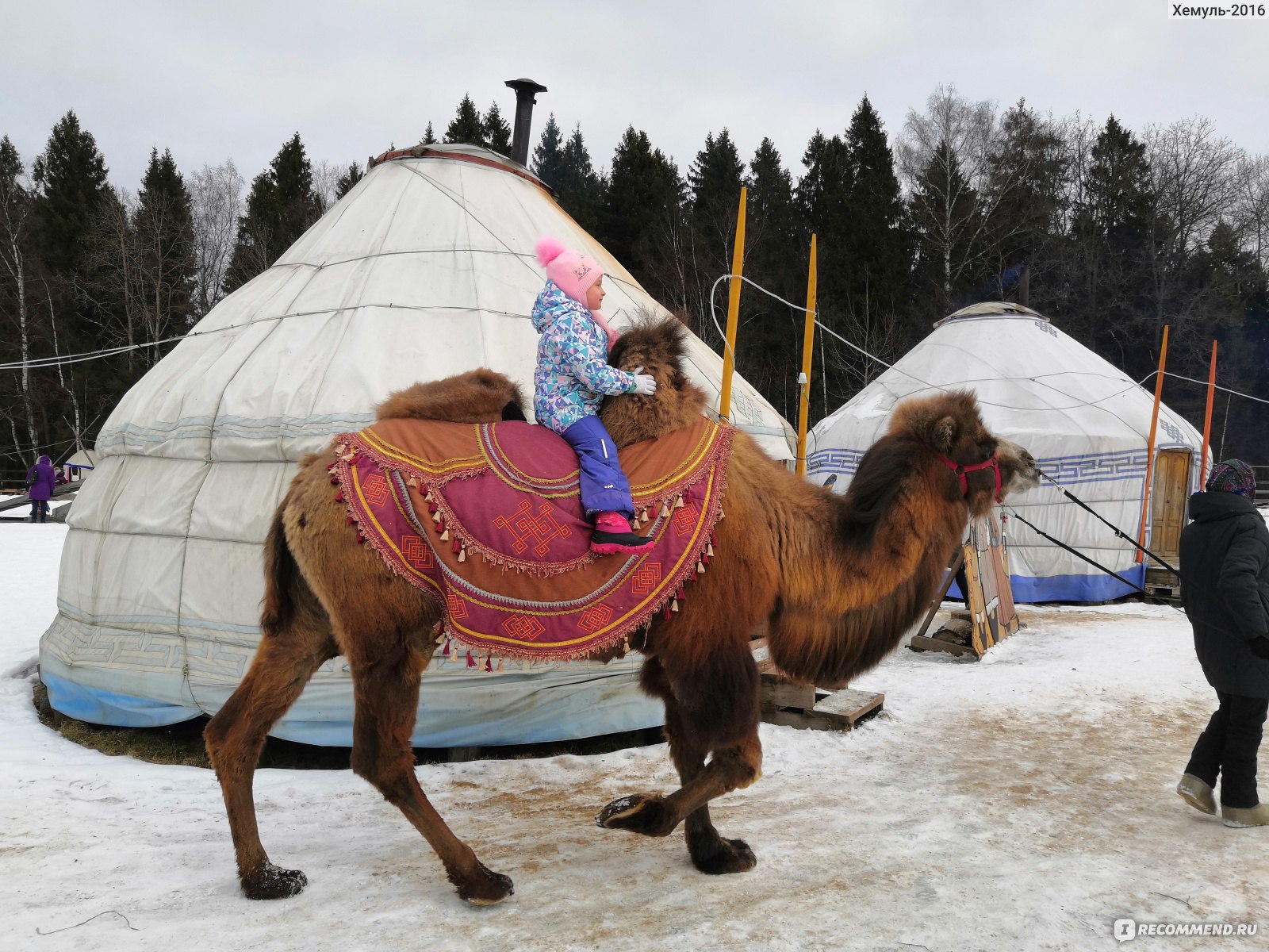 Парк кочевник хотьково фото