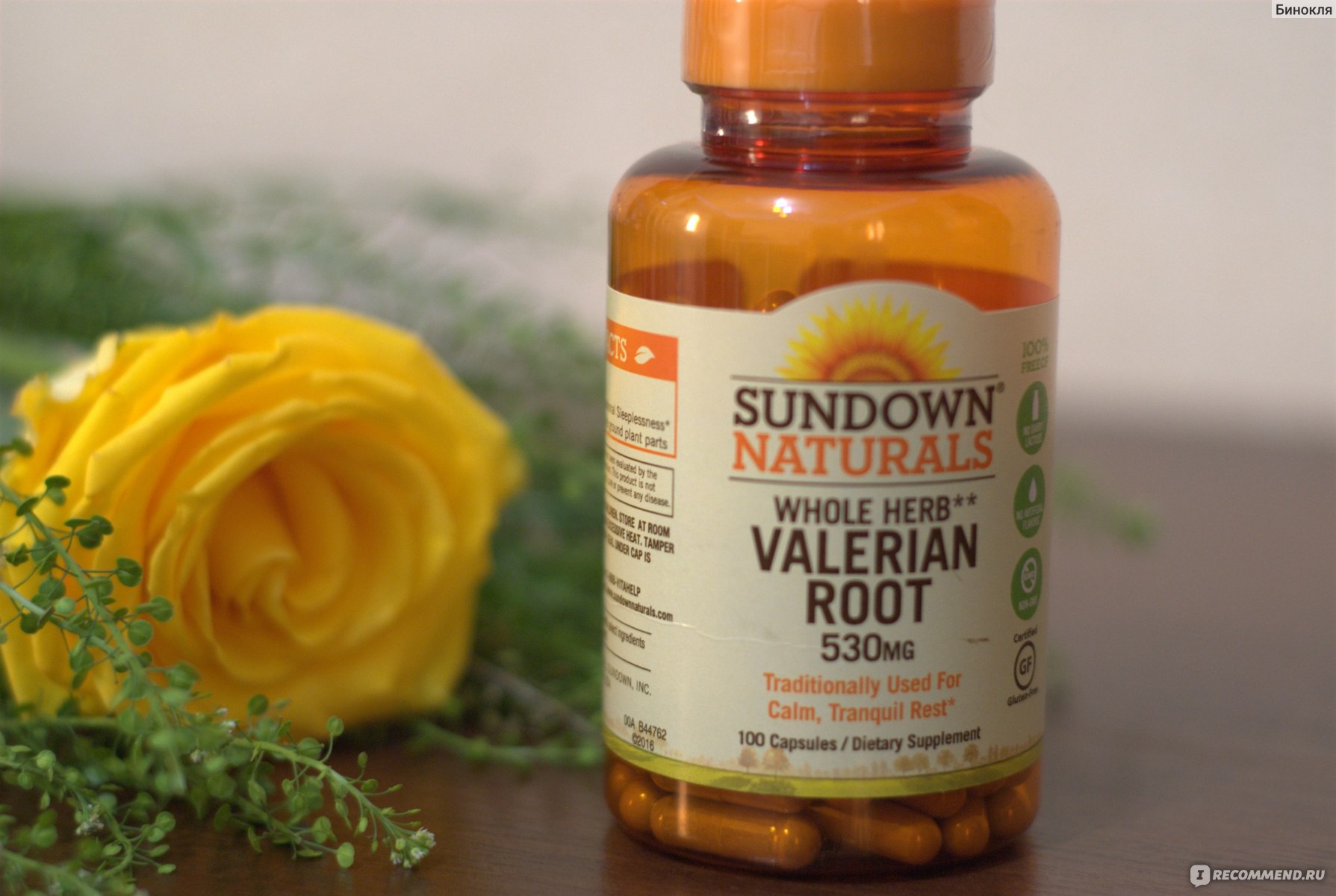 БАД Sundown Naturals Whole Herb Valerian Root, 530 mg (корень валерианы) -  «Натуральное недорогое успокоительное для молодых мам. Постигну ли я дзен ?  при наличии оруще-валяющегося ребенка. Валерьянка версия 2.0. Отзыв о