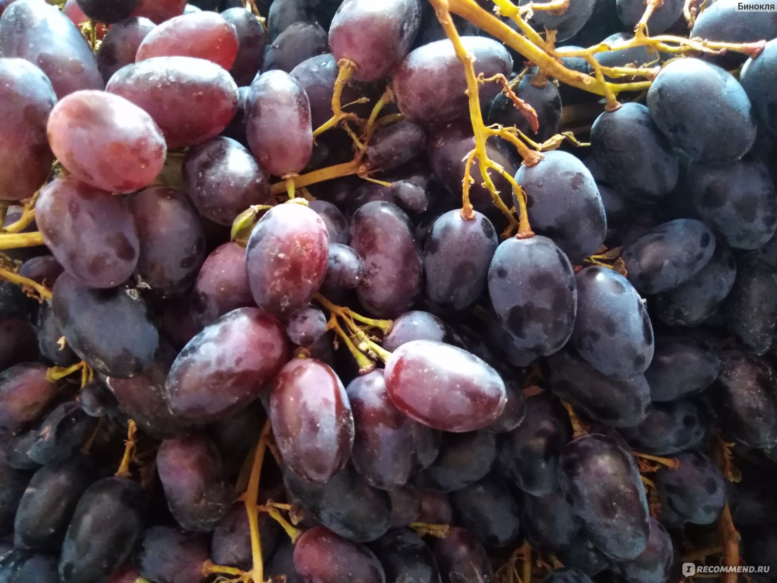 Домашнее вино из вишни: классический рецепт