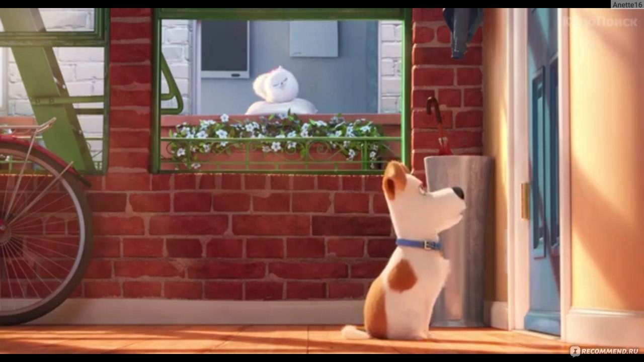 Тайная жизнь домашних животных / The secret life of pets - «То, о чем мы не  знали» | отзывы