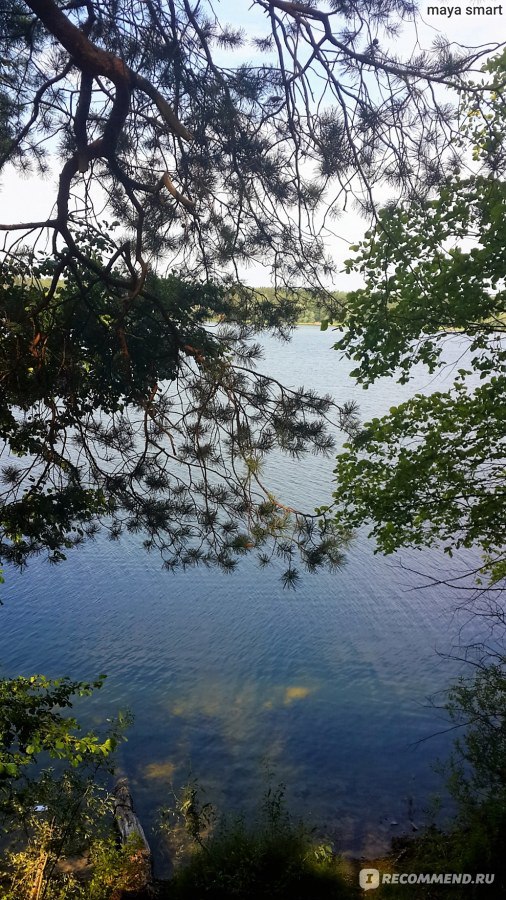 Днем в беседке приятно отдохнуть от жары, глядя на озеро