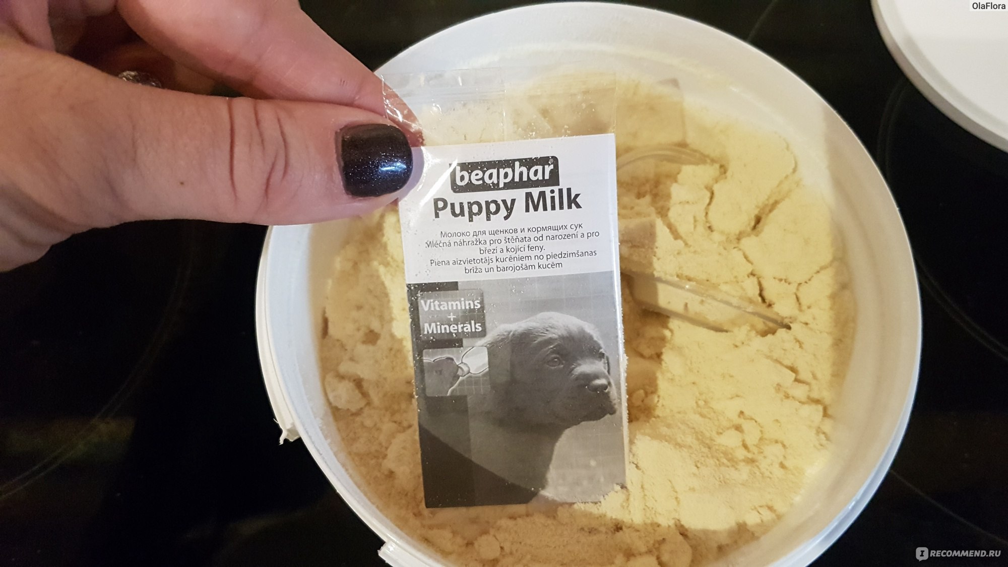 Заменитель молока для щенков Beaphar PUPPY MILK - «Отличное изобретение для  тех, у кого собака отказалась кормить или молока не хватает для щенков. Но  есть очень важное 