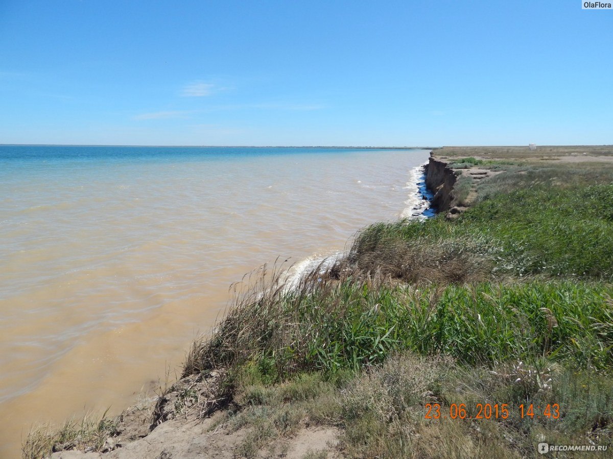 Отчего вода в море соленая - Норвежские народные сказки читать онлайн