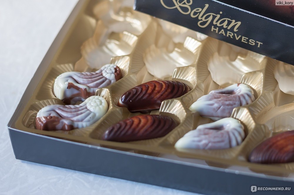 Конфеты Belgian Seashells морские ракушки