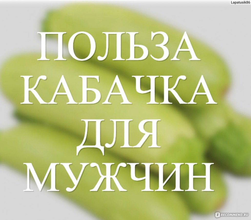 Овощи Кабачок - «Клетчатка, Пектины, Витамины и Минеральные вещества.  Диететический продукт, который стОит копейки. Как питаться вкусно, недорого  и с пользой для здоровья? Варианты блюд!» | отзывы