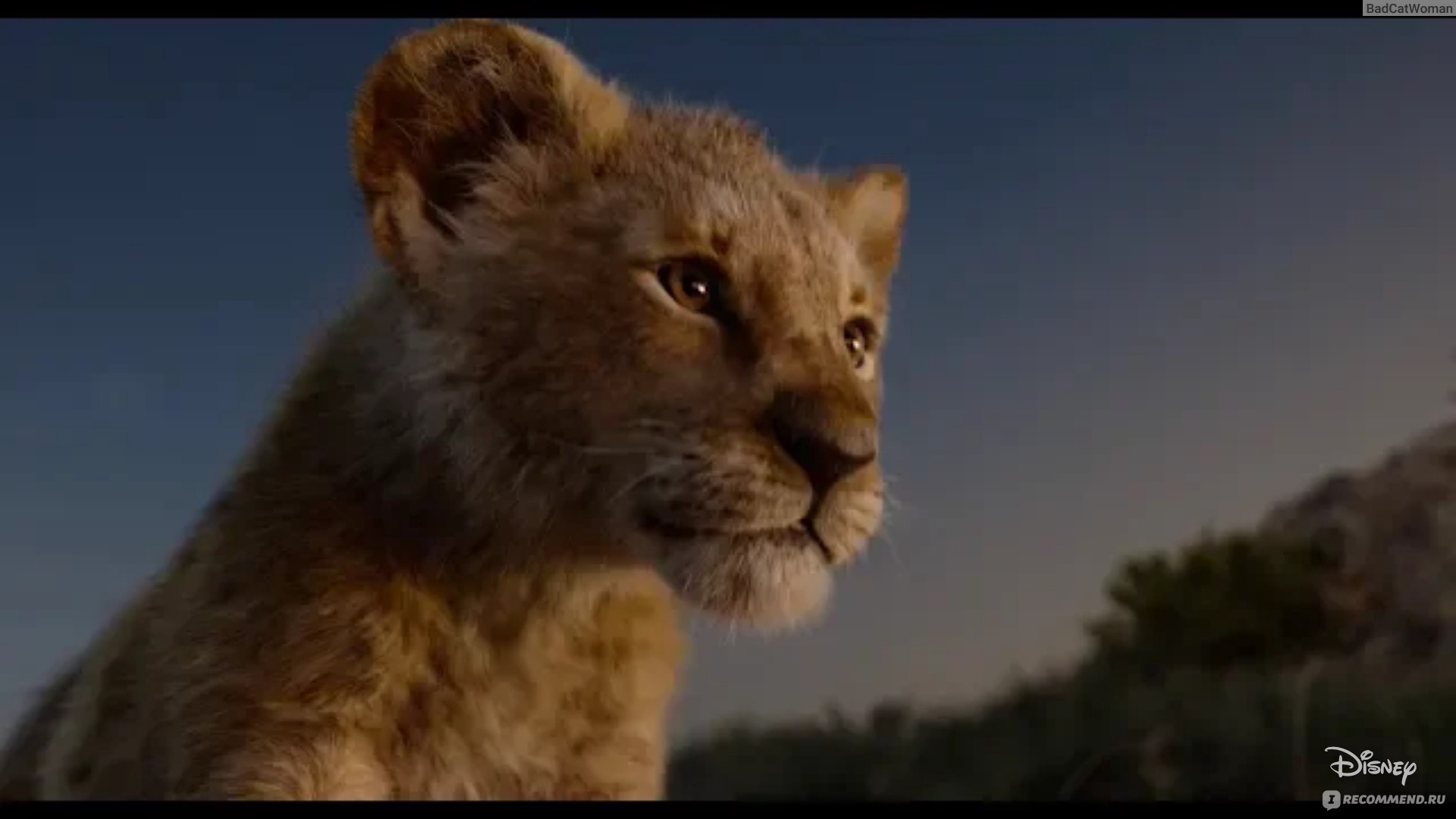 Король Лев / The Lion King (2019, фильм) - «В мире животных с озвучкой, но  НЕ ДЛЯ ДЕТЕЙ» | отзывы