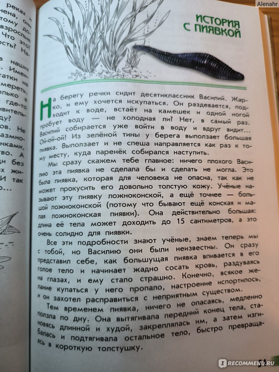 Великан на поляне или первый уроки экологической этики. Плешаков А. А. -  «Книга для воспитания в детях адекватного отношения к окружающей нас  природе.» | отзывы