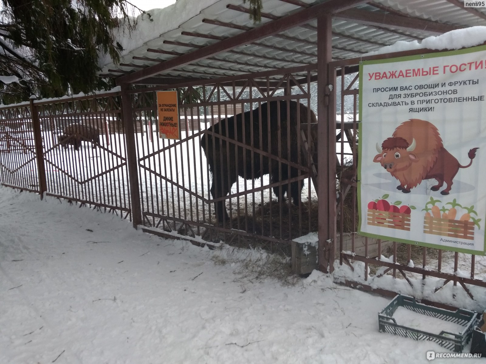 Карта зубровник в токсово