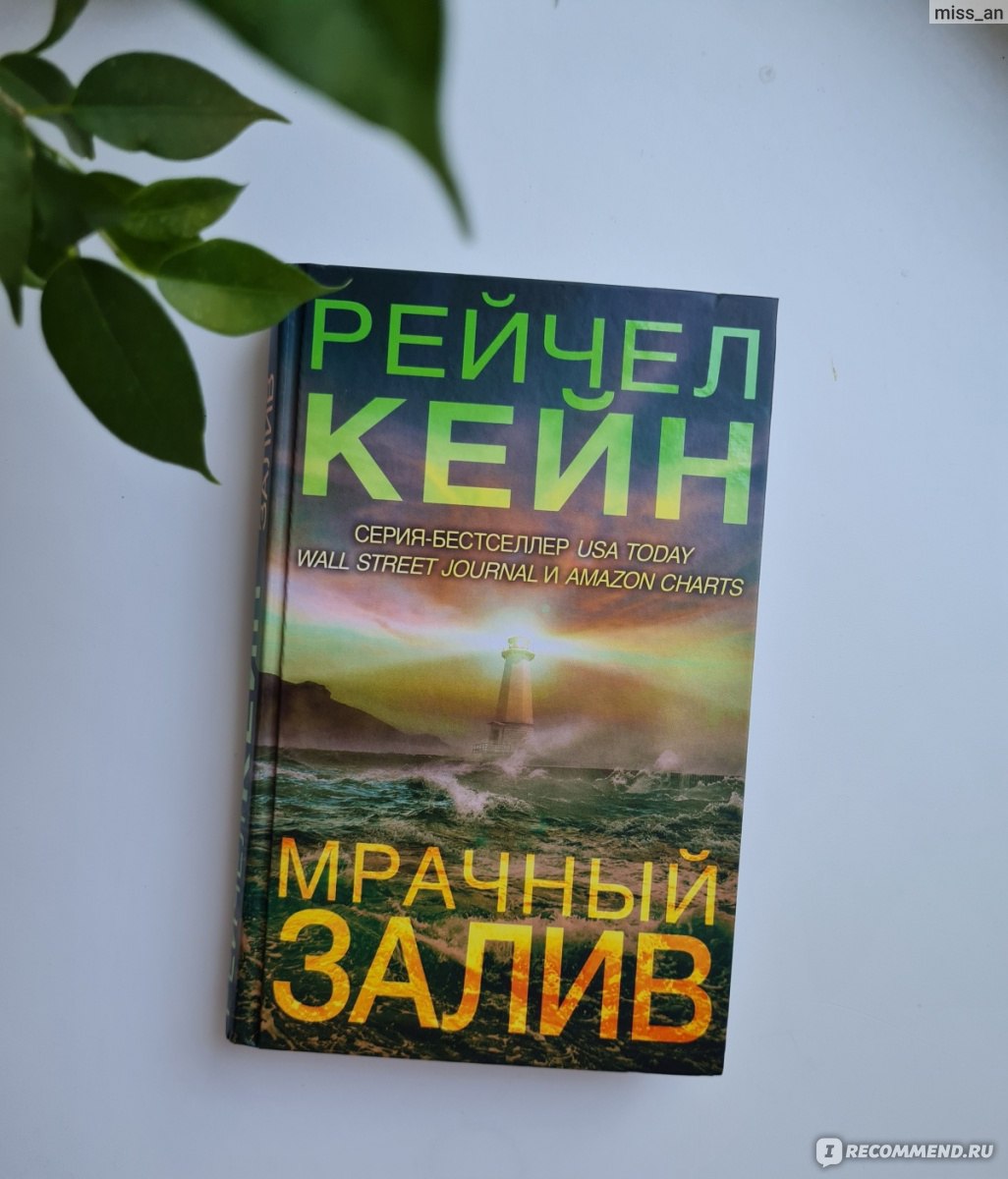 Мрачный залив. Рейчел Кейн - «