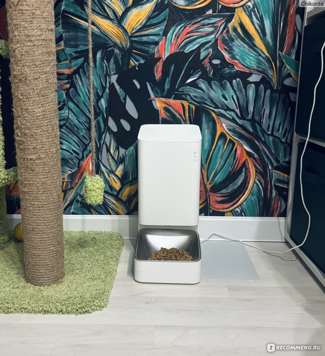 Умная кормушка для животных Xiaomi Smart Pet Food Feeder - «Никаких  перемещающихся и опрокинутых мисок. Дистанционное и голосовое управление. У  котов всегда есть еда» | отзывы