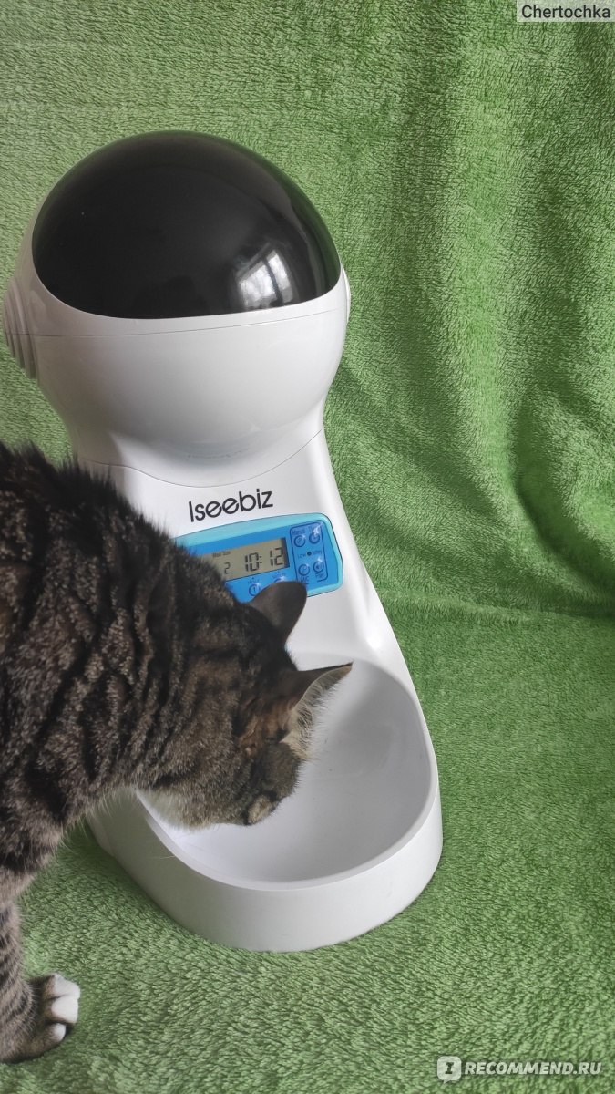 Автокормушка для собак и кошек Amzdeal Automatic Feeder Cat Automatic Food  Dispenser for Dogs and Cats, Pet Feeder with Timer LCD Screen and Sound  Recording Function, 4 Litres, White - «Теперь мой