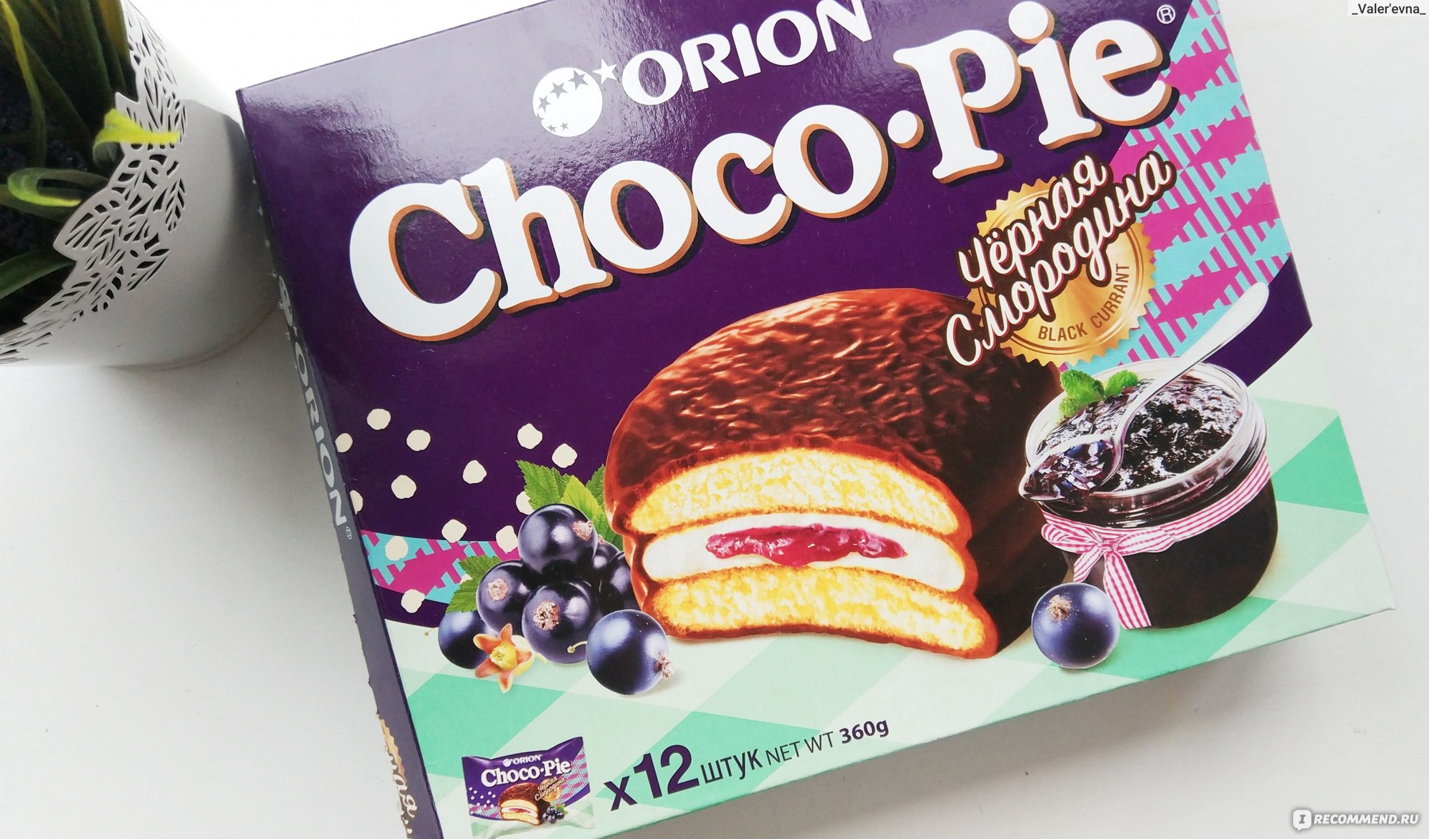 Orion Choco pie Chocochip