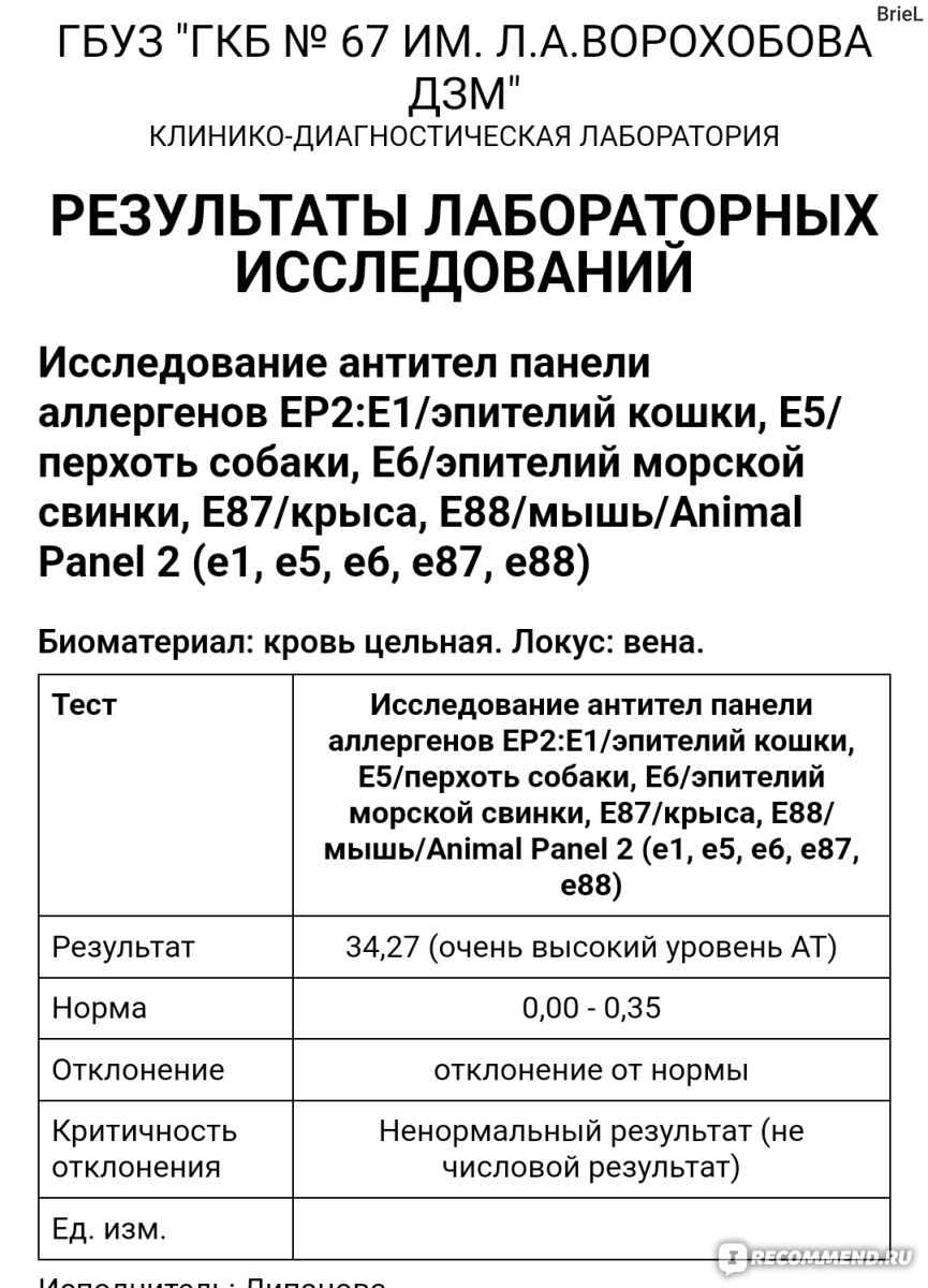 Шампунь Allersearch PET+ Противоаллергенный для животных - «Предать друга?  Или научится жить с аллергией? Мне кажется я перепробовала все, чтобы  оставить кота. Шампунь, который действительно работает!» | отзывы