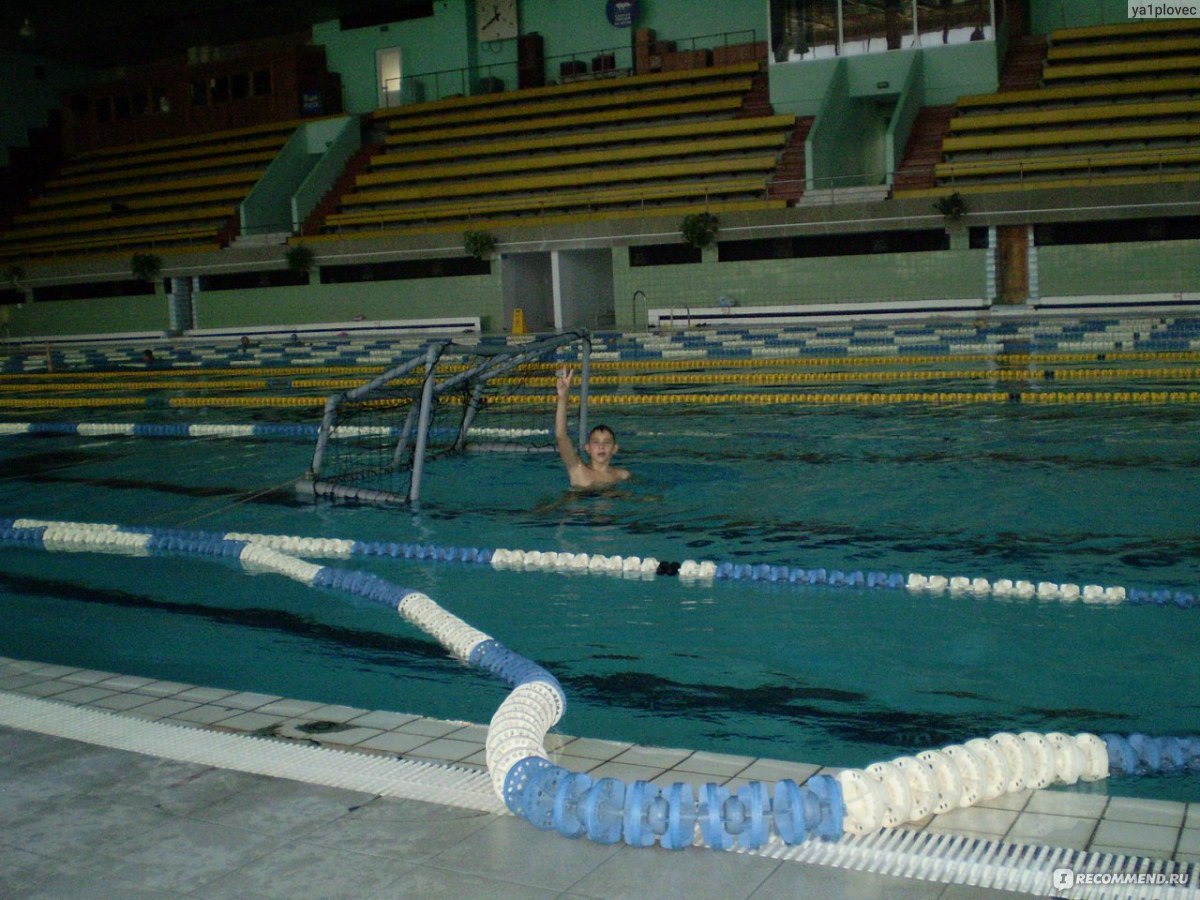 Мужчины плавание 1500 метров. КМС плавание. КМС по плаванию 50 метров мужчины. КМС на 1500 метров мужчины плавание. Самара КМС по плаванию Тимарин.